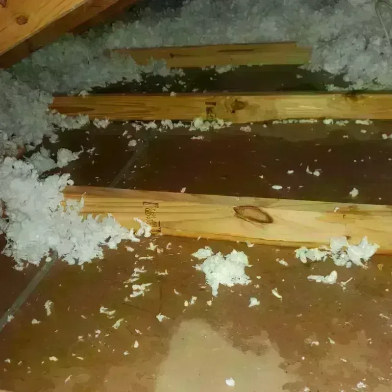 Attic Water Damage in Kernville, CA